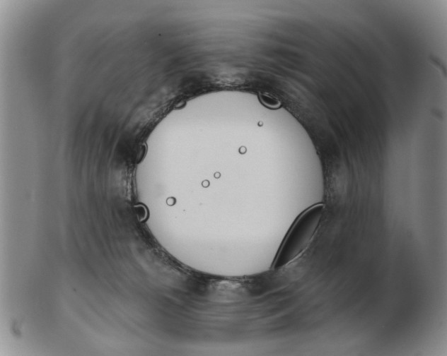 X0000103170180200809121909