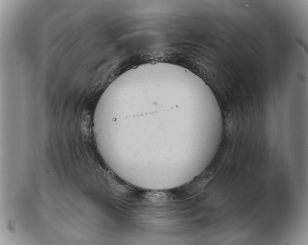 X0000103170181200809121909