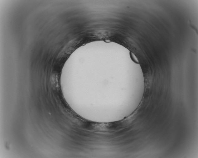 X0000103170182200809121909