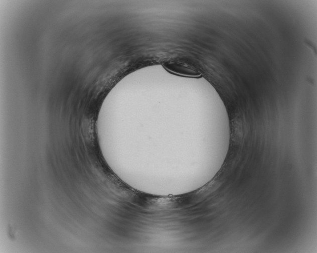 X0000103170184200809121909