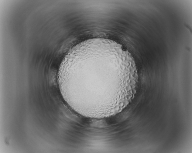 X0000103170185200809121909