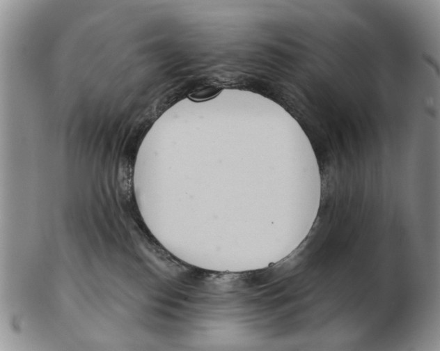 X0000103170186200809121909