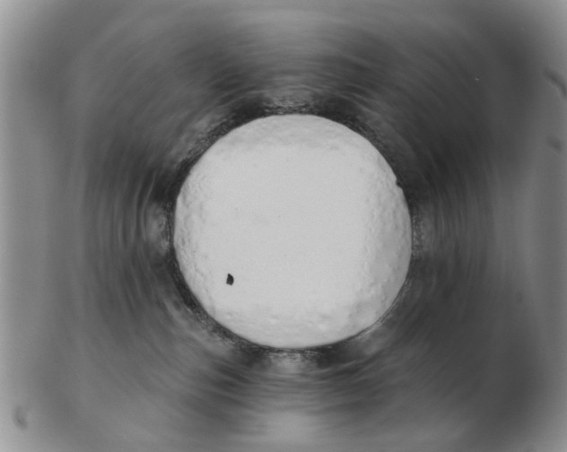 X0000103170187200809121909