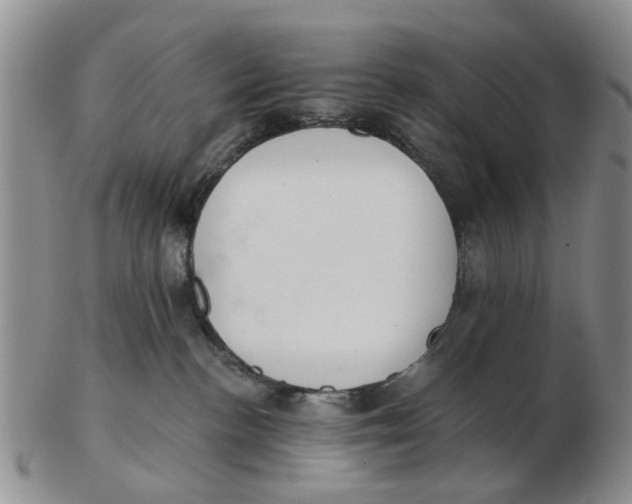 X0000103170188200809121909