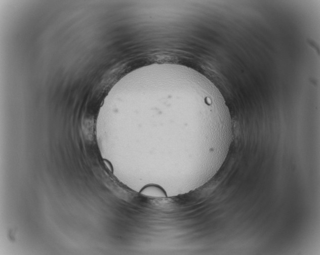 X0000103170189200809121909