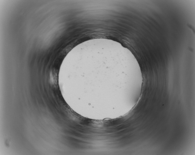 X0000103170190200809121909