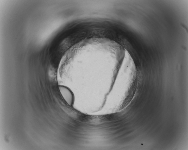 X0000103170191200809121909