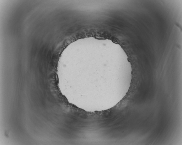 X0000103170192200809121909