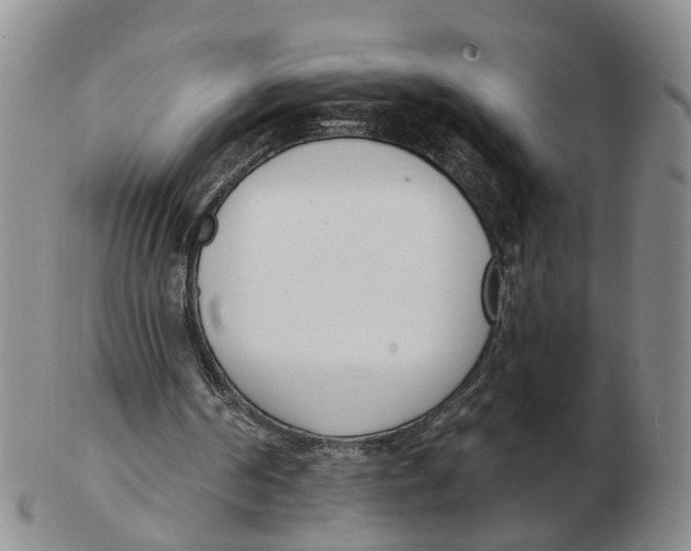 X0000103170194200809121908