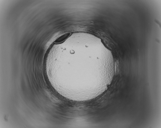 X0000103170195200809121908