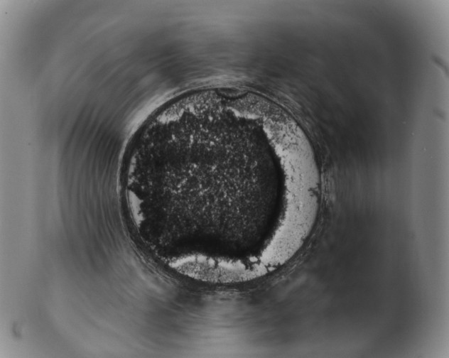 X0000103170196200809121908