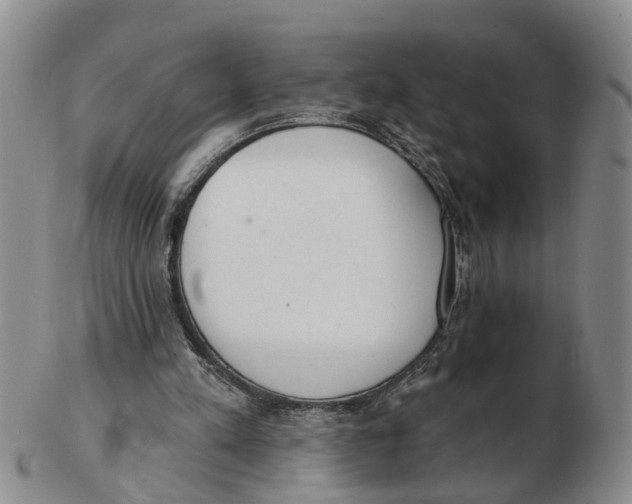 X0000103170197200809121908