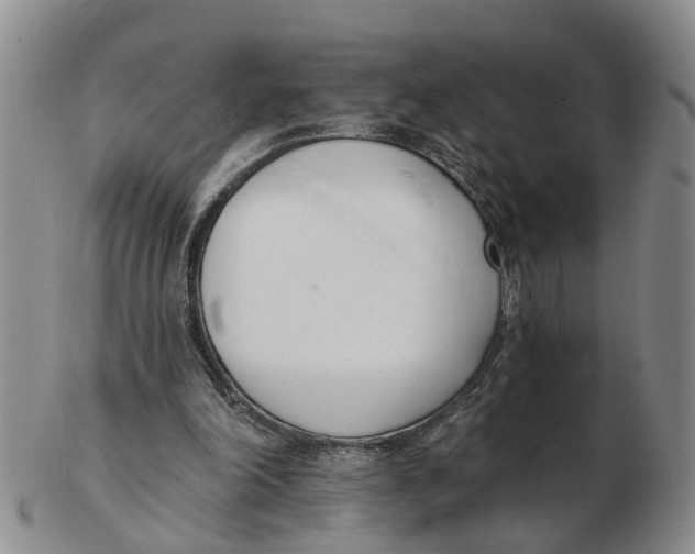 X0000103170198200809121908