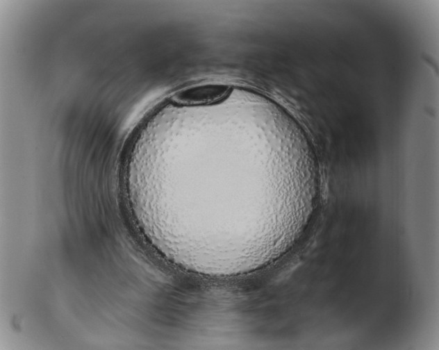 X0000103170199200809121908