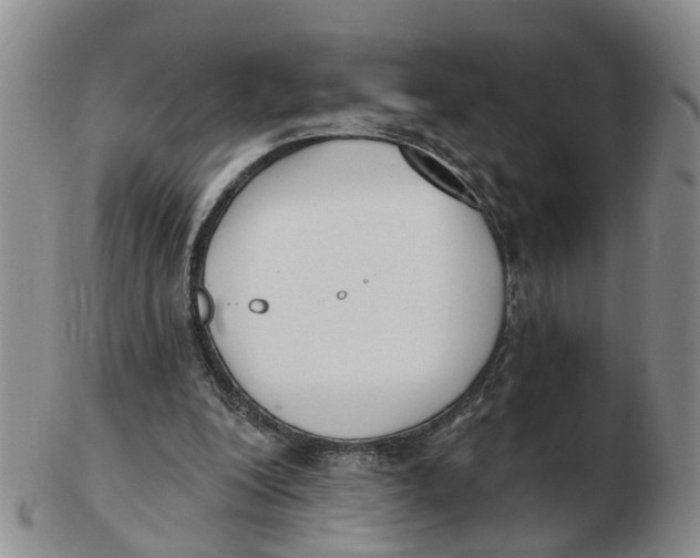 X0000103170200200809121908