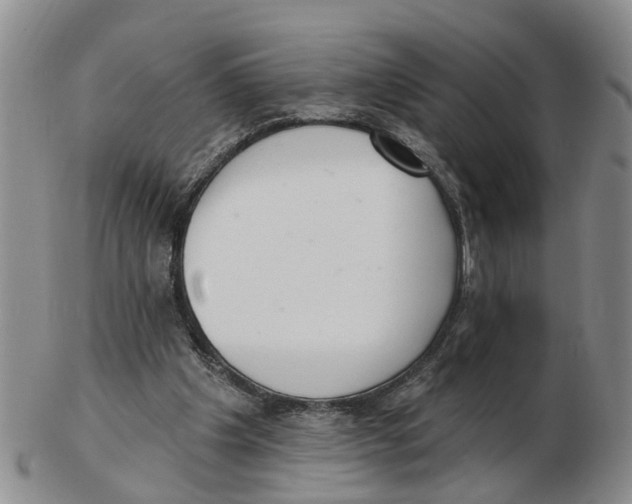 X0000103170201200809121908