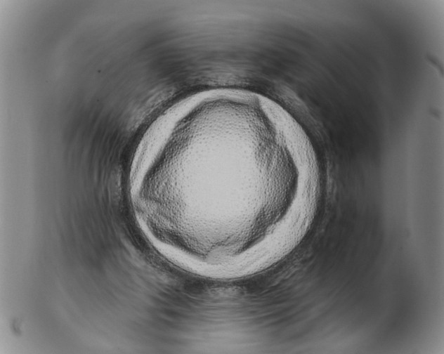 X0000103170202200809121908