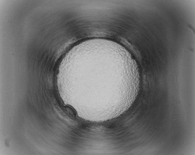 X0000103170203200809121908