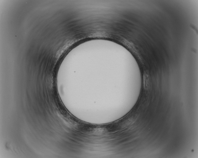 X0000103170204200809121908