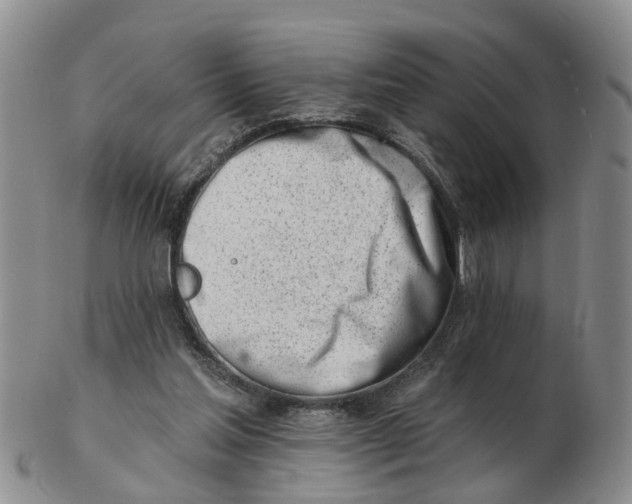 X0000103170205200809121908