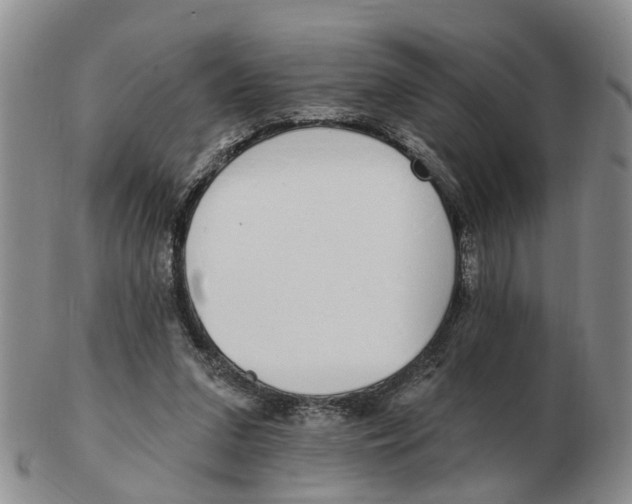 X0000103170207200809121908