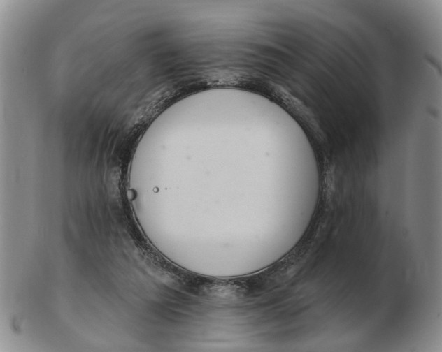 X0000103170209200809121908