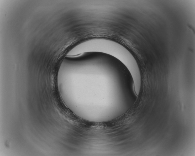 X0000103170211200809121908