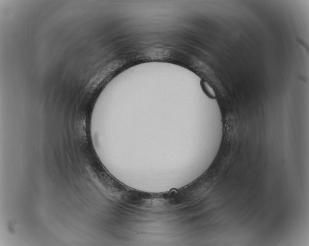 X0000103170212200809121908