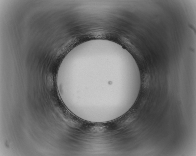 X0000103170213200809121908