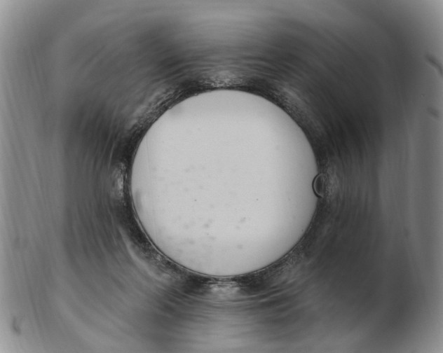 X0000103170214200809121908