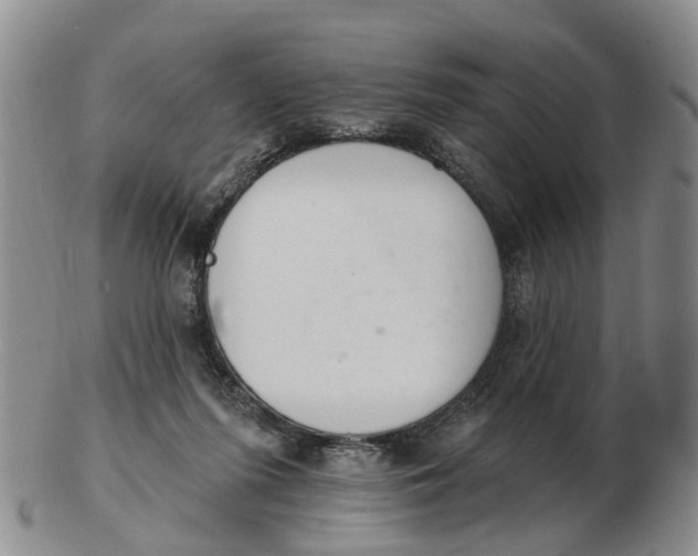 X0000103170215200809121908