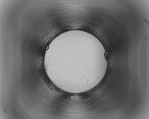 X0000103170216200809121908