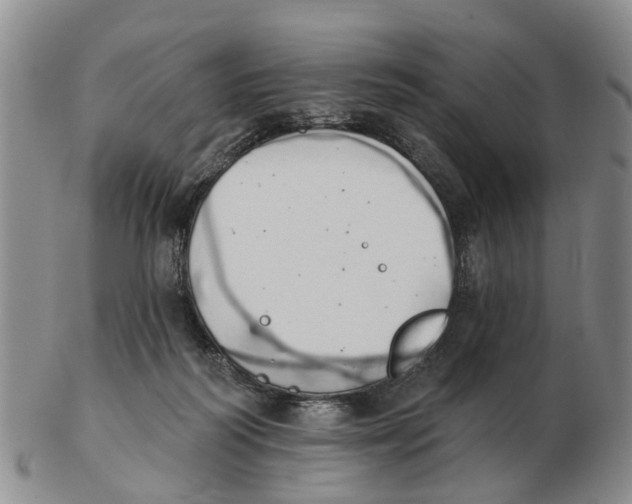 X0000103170218200809121908