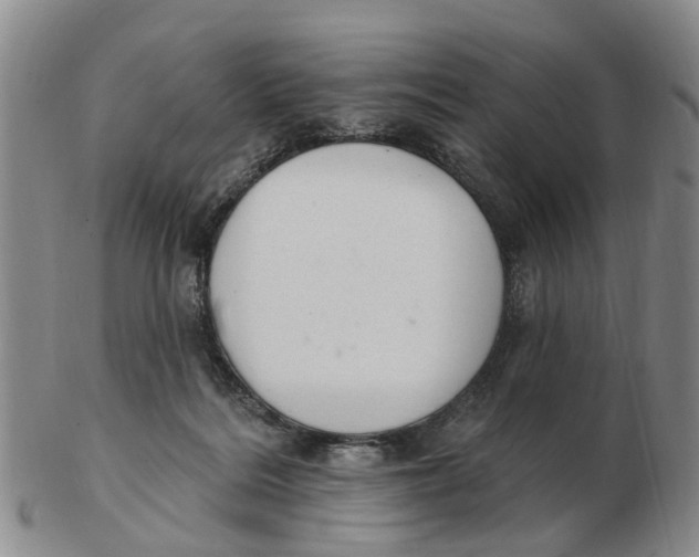 X0000103170220200809121908