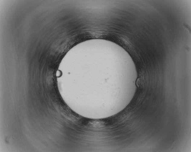 X0000103170221200809121908