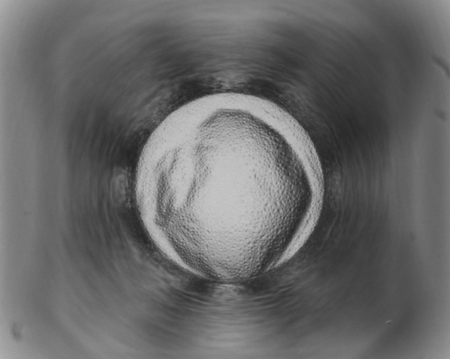 X0000103170222200809121907