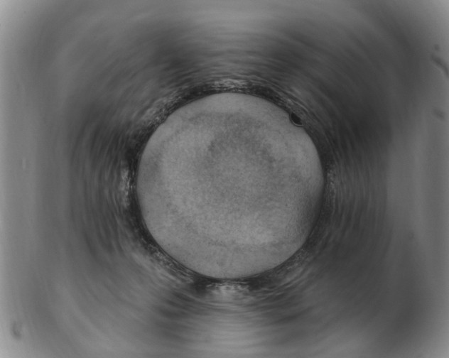 X0000103170223200809121907