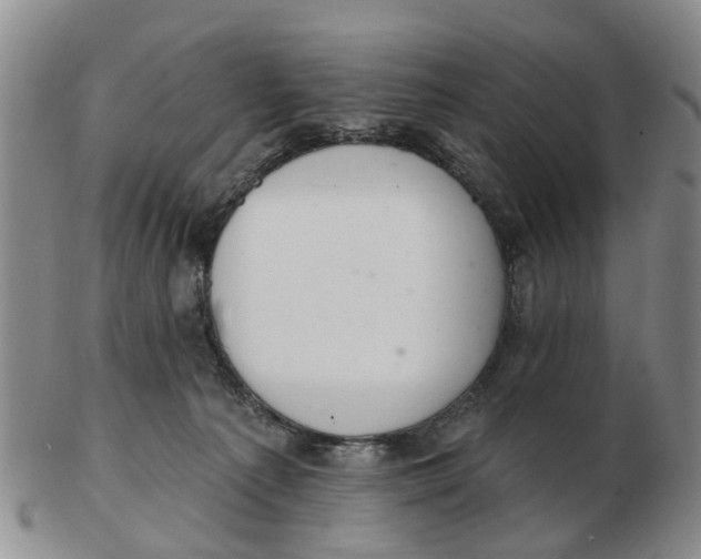 X0000103170225200809121907