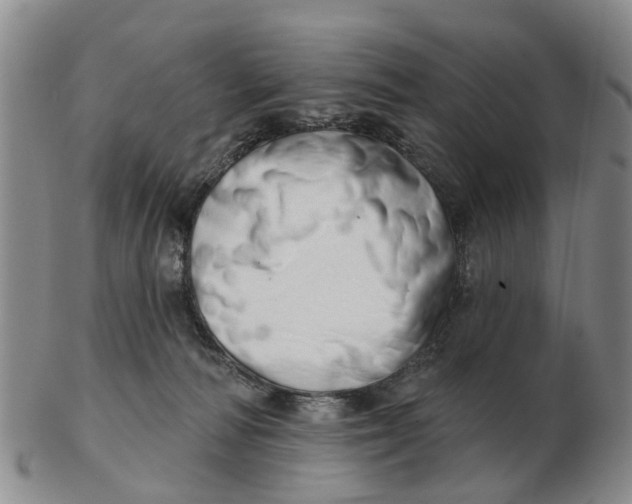 X0000103170226200809121907