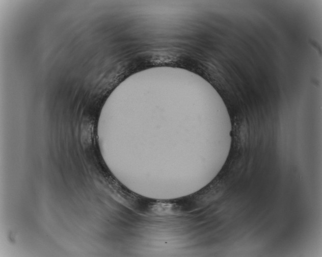 X0000103170227200809121907