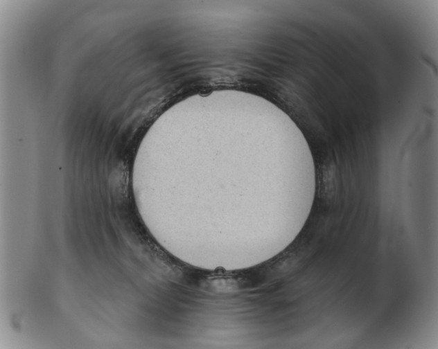 X0000103170228200809121907