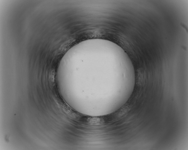 X0000103170230200809121907