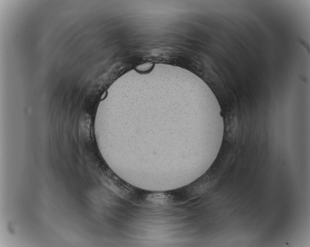 X0000103170231200809121907