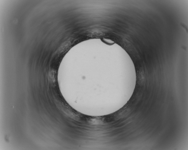 X0000103170232200809121907