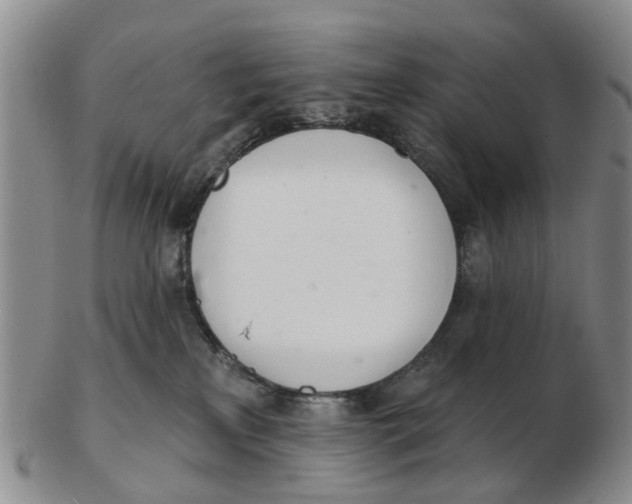 X0000103170233200809121907