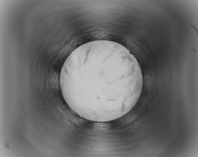 X0000103170234200809121907