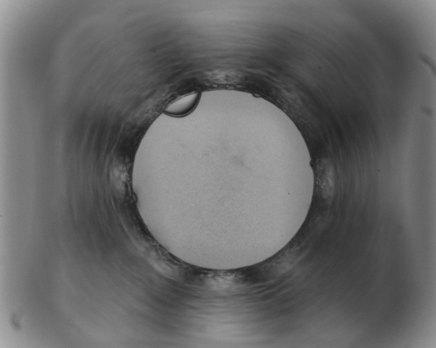 X0000103170235200809121907