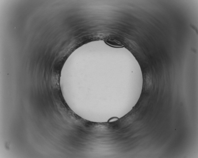 X0000103170236200809121907