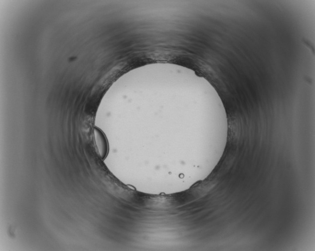 X0000103170237200809121907