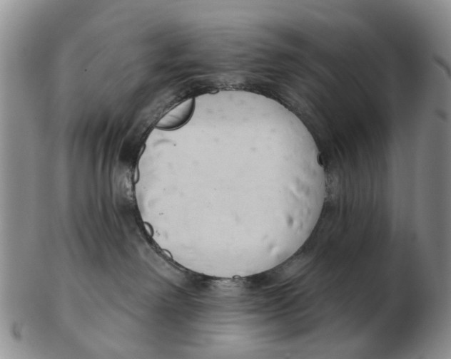 X0000103170238200809121907